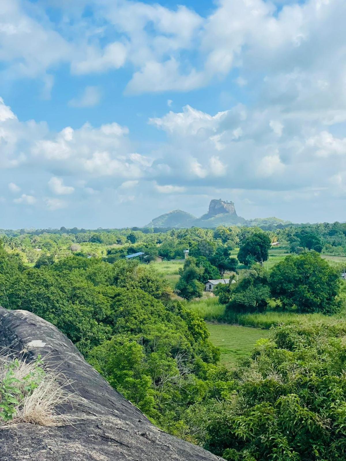 Birdwing Sigiriya Hotel Екстериор снимка