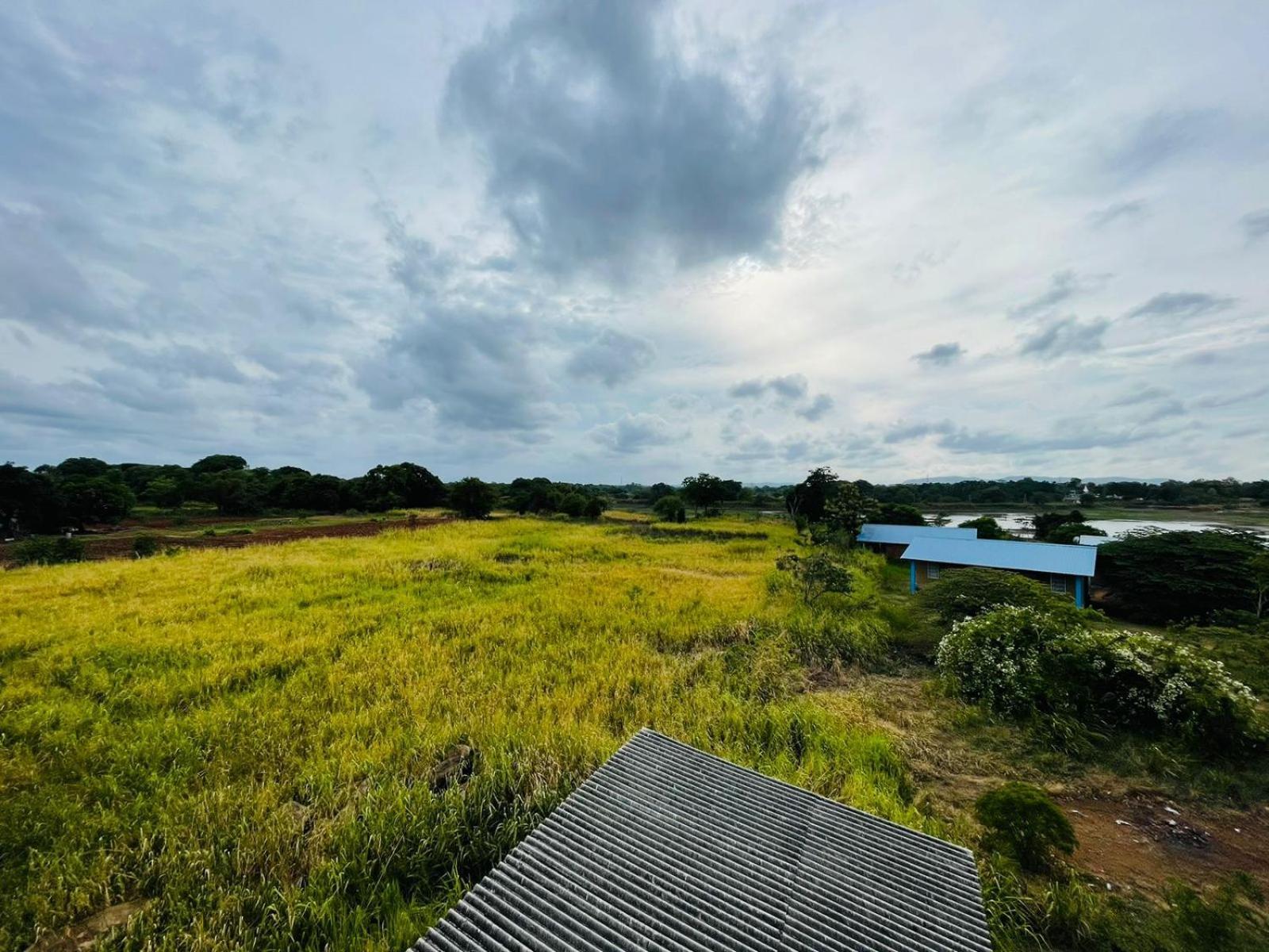 Birdwing Sigiriya Hotel Екстериор снимка