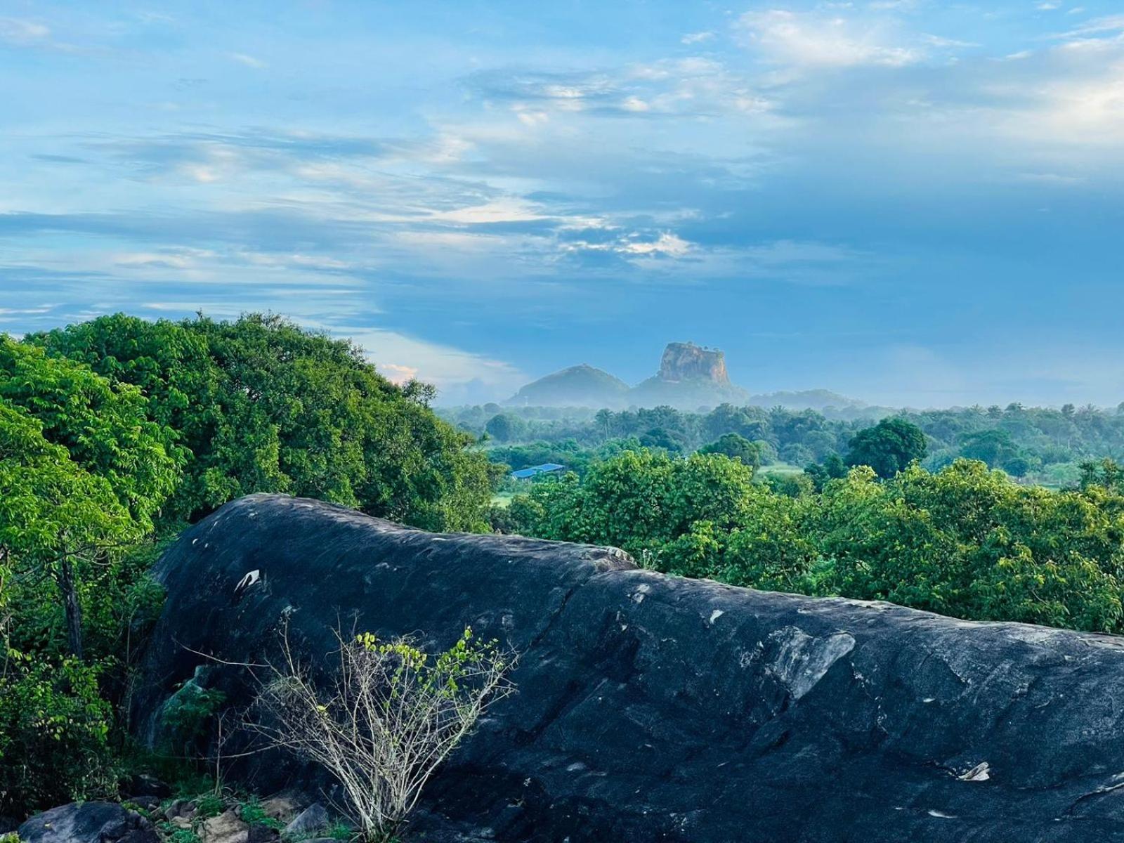 Birdwing Sigiriya Hotel Екстериор снимка