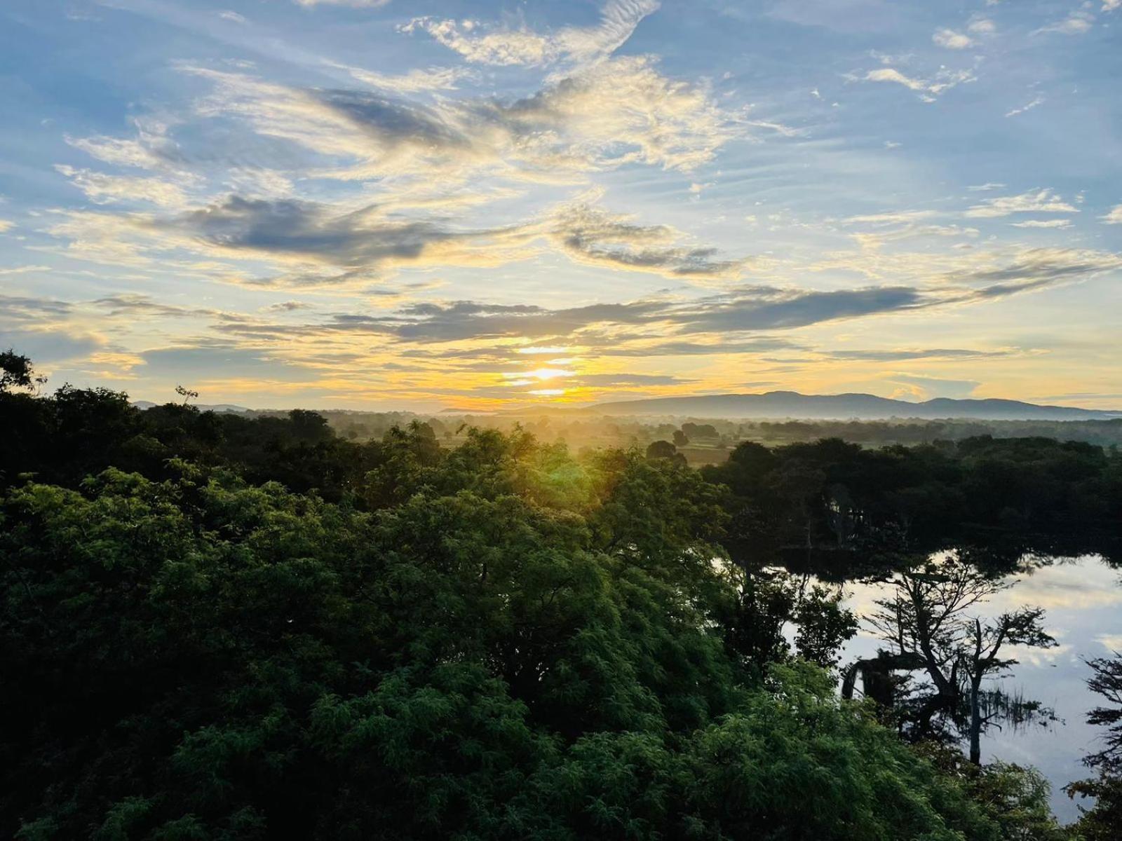 Birdwing Sigiriya Hotel Екстериор снимка