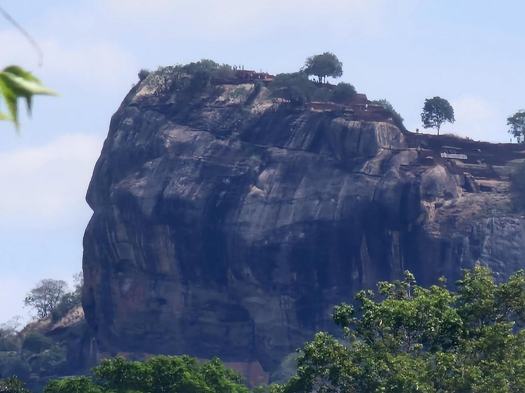 Birdwing Sigiriya Hotel Екстериор снимка