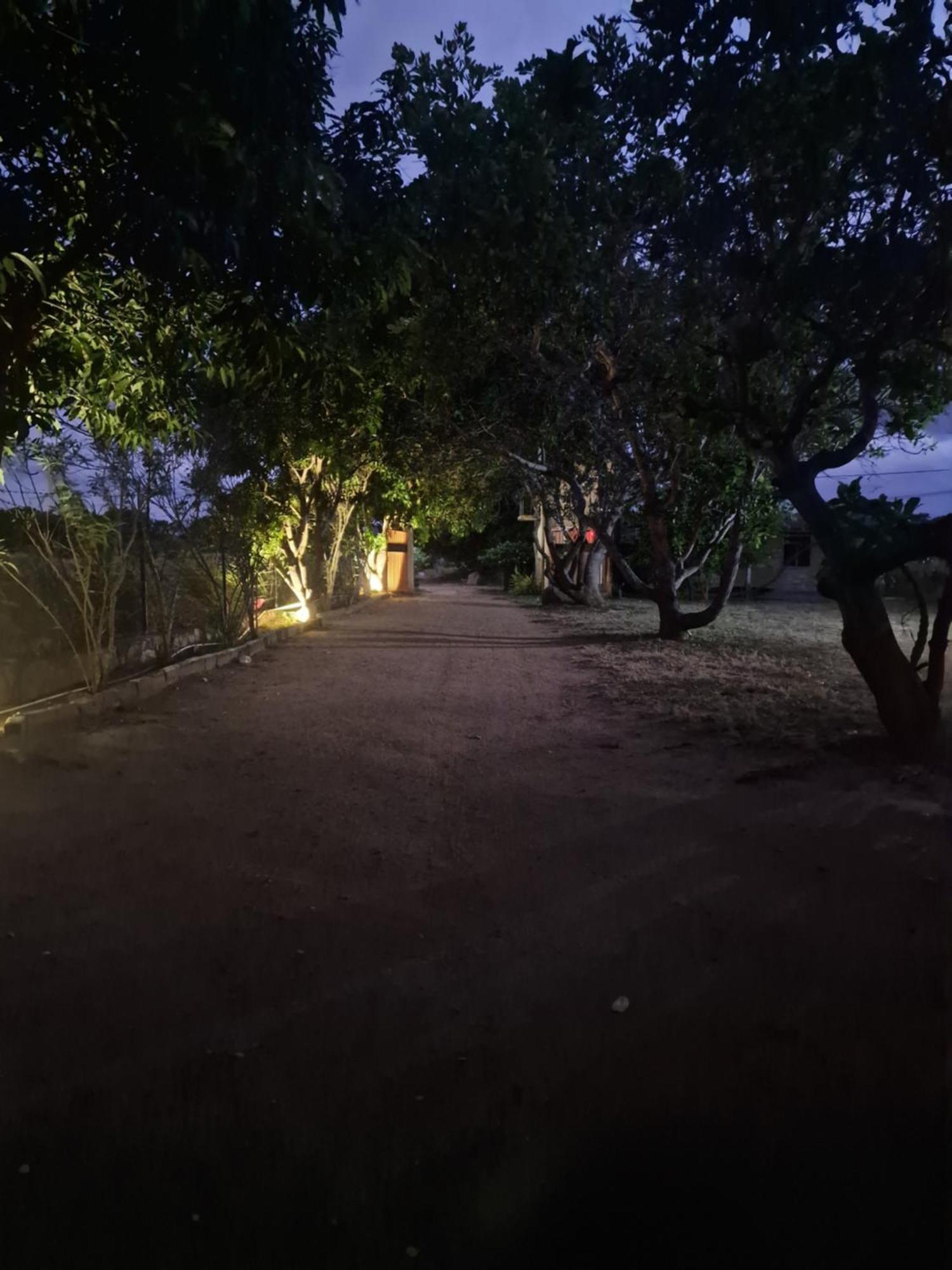 Birdwing Sigiriya Hotel Екстериор снимка
